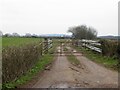 Cattle loading area