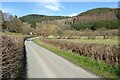 Country road in Redlake valley