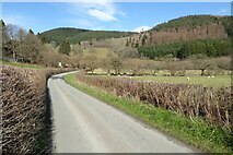 SO3474 : Country road in Redlake valley by Philip Halling