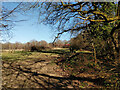 Way from Mill Pond Field to Valebridge Common Field