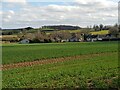 Bungalows on the B4197 from The Worcestershire Way