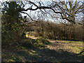 Way from Valebridge Common Field to Mill Pond Field