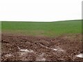 SO4904 : Field near Trelleck Cross by Richard Webb