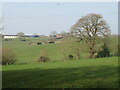 View towards Clint Grange