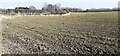 Ploughed field at Brampton Farm