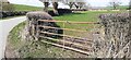 Field gateway at bend in Brampton Lane opposite Little Langton Grange