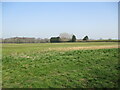 Grass field and Moor Farm