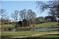 Pond on the Golf Course