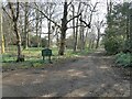 Driveway through the trees to St Colme House