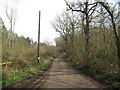 Road, Graig Wood