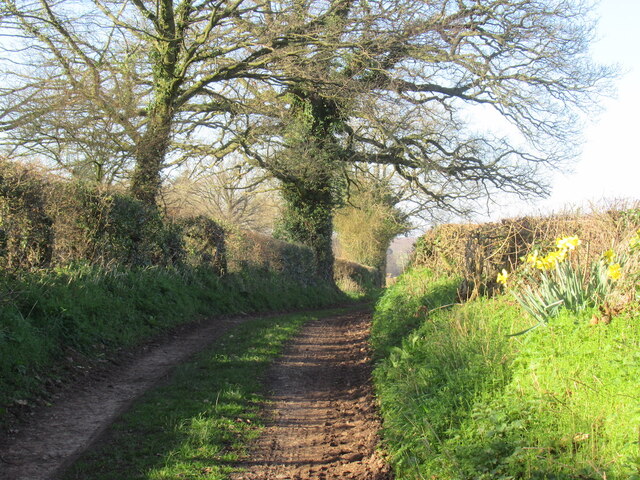 Barrett's Mill Lane © Richard Webb :: Geograph Britain and Ireland