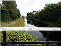 Looking down the Forth and Clyde Canal from Lock No.10