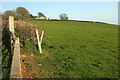 Field near Higher Radway Farm