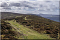 SO3026 : On Hatterrall Ridge by Ian Capper
