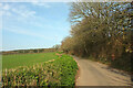 Lane near Higher Radway Farm