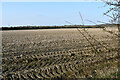 Field near Dursley