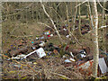 NT4810 : Old rubbish dump by plantation by Jim Barton