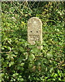 Electric cable marker near Barton Hall