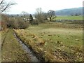 Track at the edge of a field