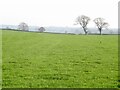 Field, Brockleymoor