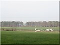 Field and M6 near Brackenburgh