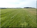 Eggesford Airfield