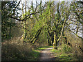 Footpath near Pontyates