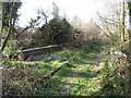 Disused railway line near Pontyates