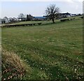 View over fields to Standalane