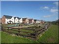 Allotments by a housing development, Worcester