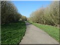 Path through Broomhill Park