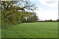 Field boundary footpath