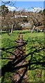 ST2987 : Shadows on a cemetery path, Newport by Jaggery