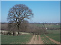 Field path down towards Lilley from Whitehill Farm