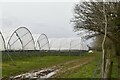 Polytunnels