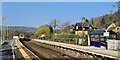 Spring morning at Grindleford station