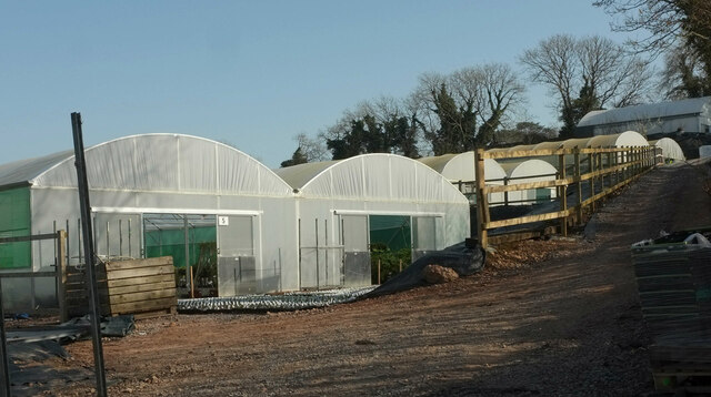 Polytunnels, Suttons Nursery & Trial... © Derek Harper :: Geograph ...