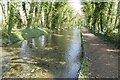 SU0394 : The Thames at Ashton Keynes by Philip Halling