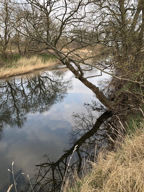 Reflections In River Wear © David Robinson Cc-by-sa 2.0 :: Geograph 