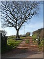 Farm track at Straddon Cross