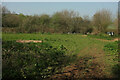 Field by car park near Beacon Hill