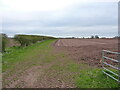 Bridleway up the edge of a field