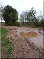 Mud-fest on the bridleway