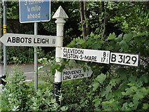 ST5371 : Direction Sign – Signpost on the B3129 Beggar Bush Lane by Roadside Relics