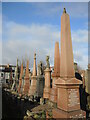 Standing tall in the cemetery