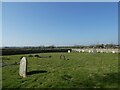 All Saints, Goosey: churchyard (a)