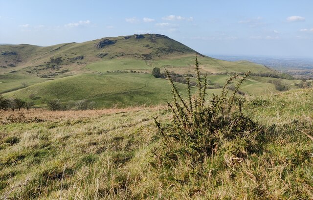 Caer Caradoc Hill viewed from Willstone Hill