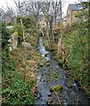 Shotleyfield Burn