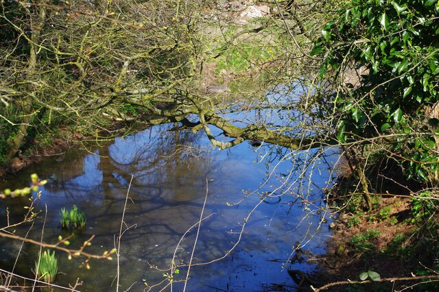 Pond adjacent to Leapgate Lane, near Wilden, Worcs