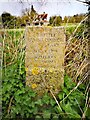 TL6608 : Writtle commemorative parish boundary stone by Paul Jones